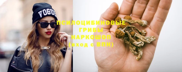 дурь Касимов