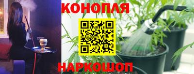 spice Донецк