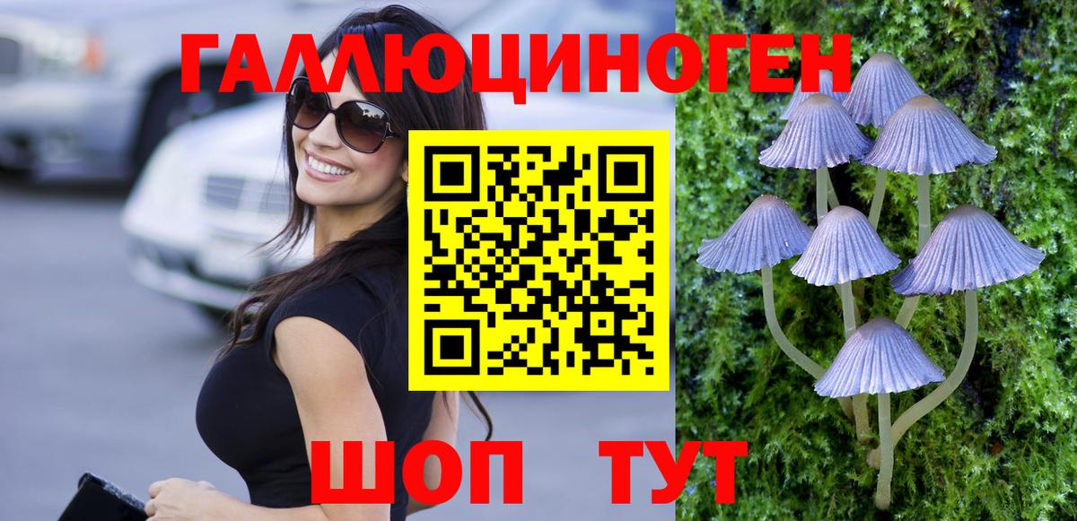 Галлюциногенные грибы GOLDEN TEACHER  Вход с VPN  Красноуфимск 