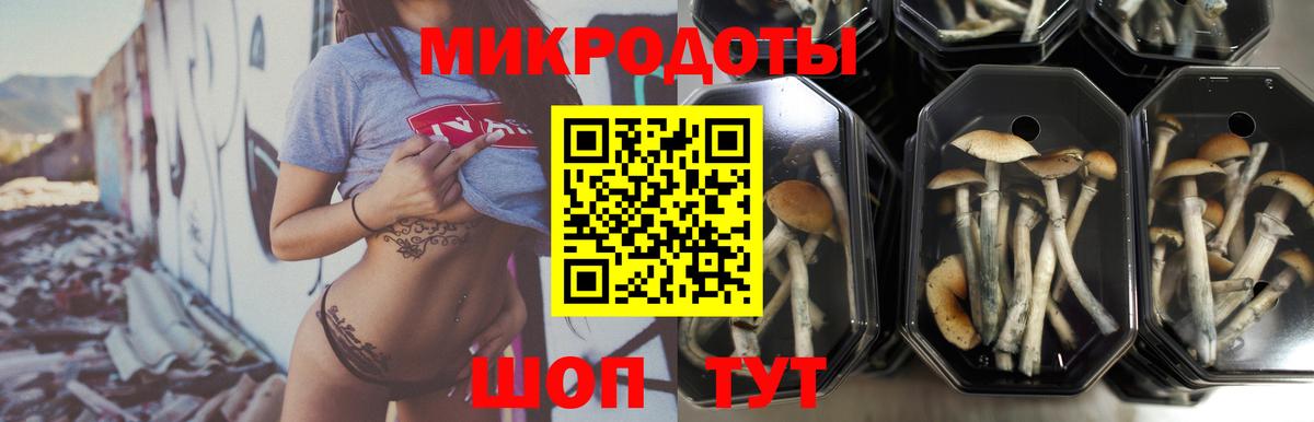 Галлюциногенные грибы Magic Shrooms Красноуфимск